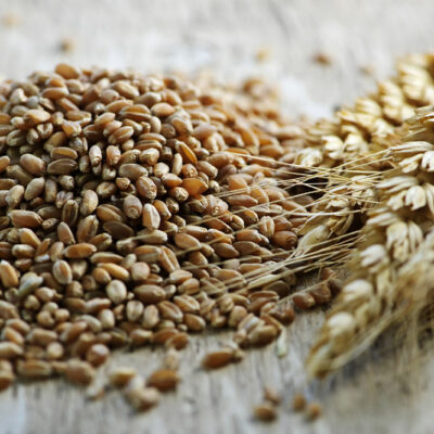 Psoriasis – Symptoms, Food choices, and Remedies